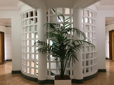 Magnifique Appartement Jean Medecin/Notre Dame Nizza Exterior foto